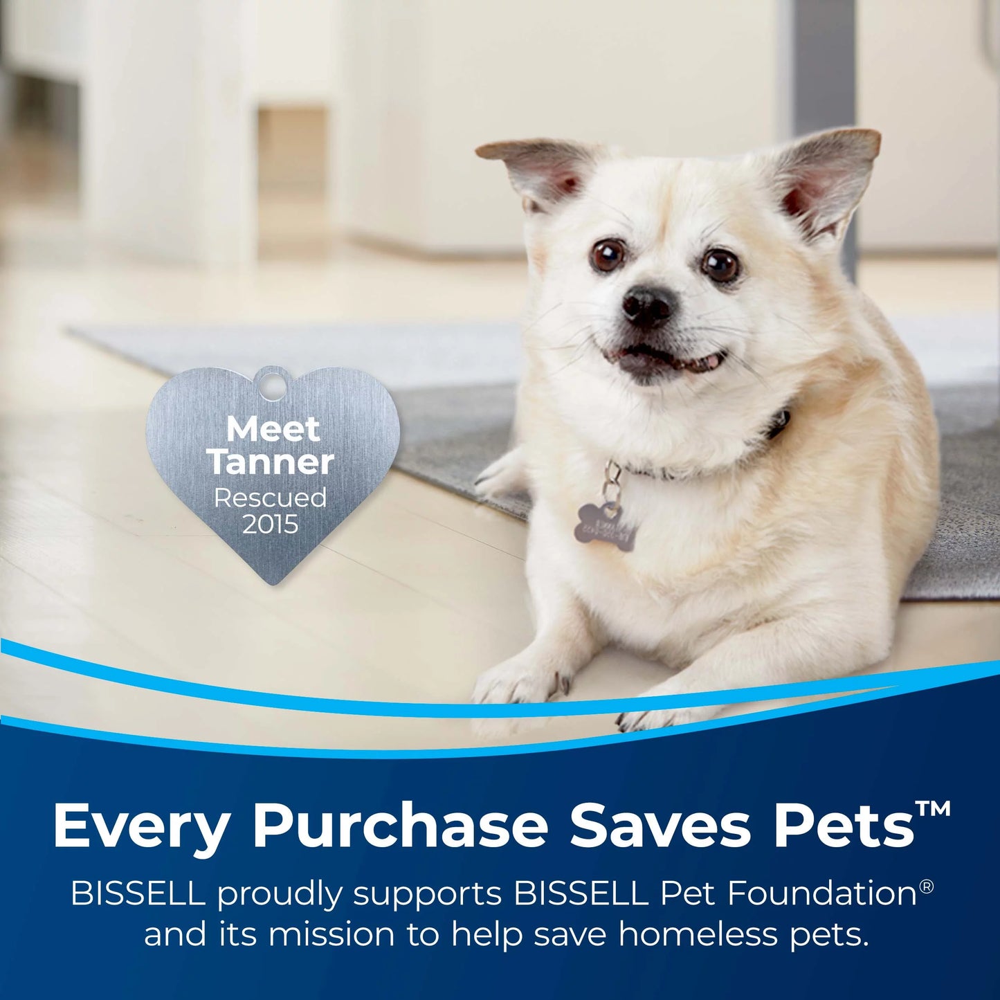 BISSELL Pet Stain Eraser, Cordless Portable Carpet Cleaner, 3180